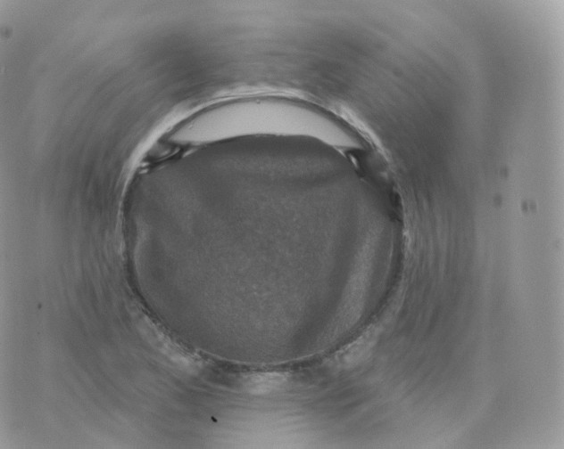 X0000070421173200606302054