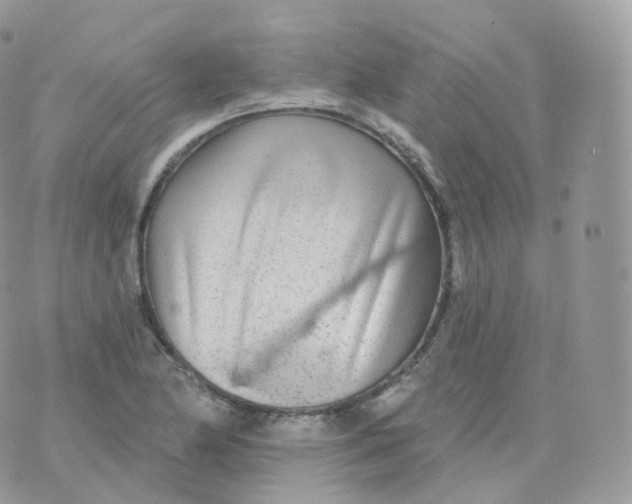 X0000070421174200606302054