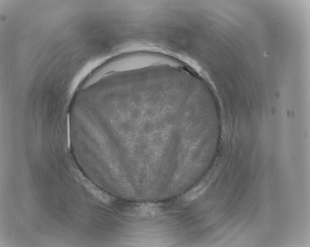 X0000070421175200606302054