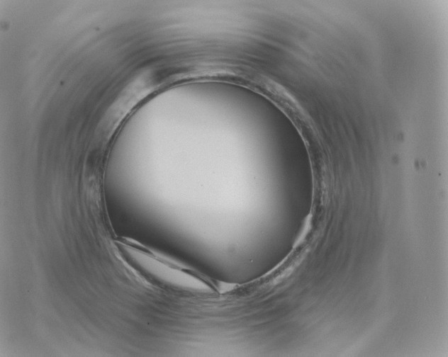 X0000070421177200606302054