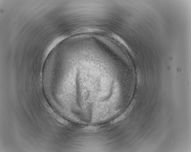 X0000070421178200606302054