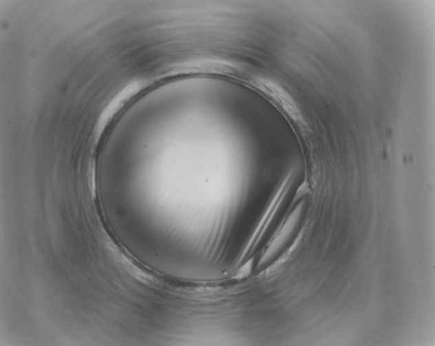 X0000070421180200606302054