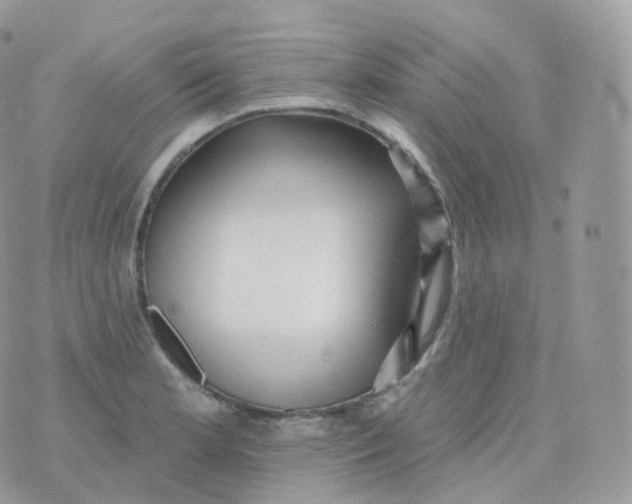 X0000070421181200606302053