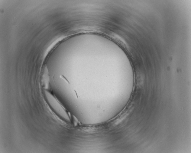 X0000070421182200606302053