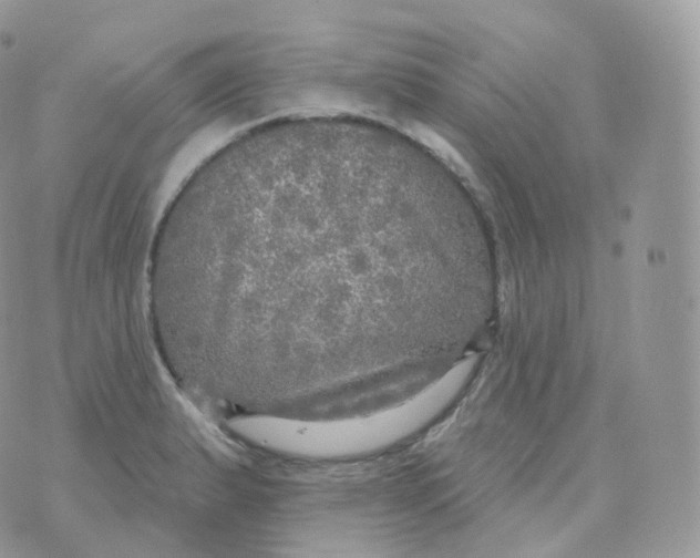 X0000070421183200606302053