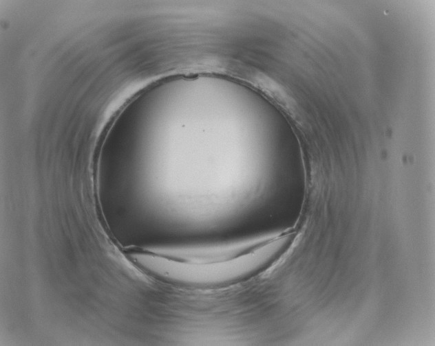 X0000070421184200606302053