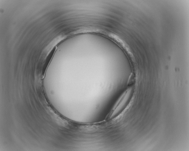 X0000070421185200606302053