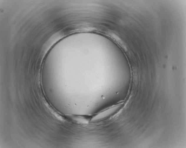 X0000070421186200606302053