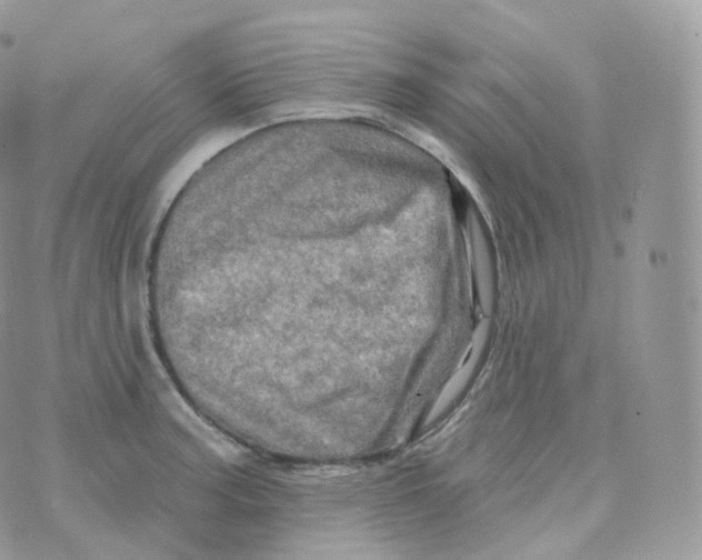 X0000070421187200606302053