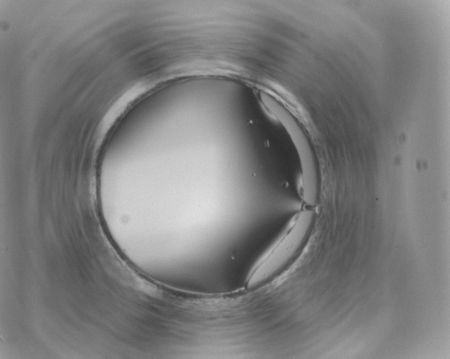 X0000070421188200606302053