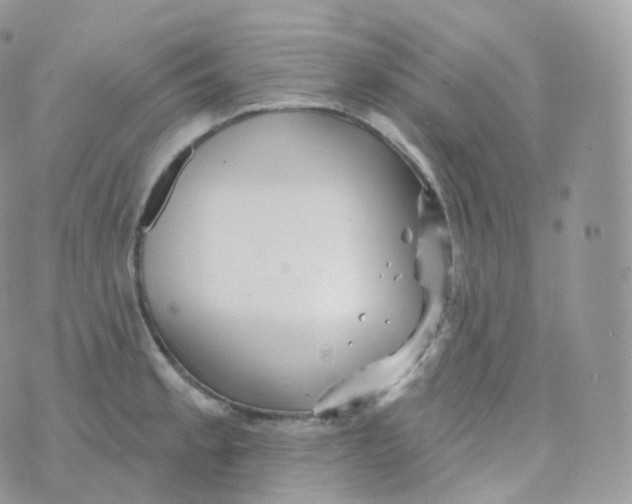 X0000070421189200606302053