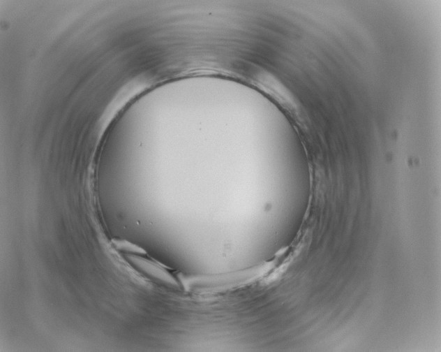 X0000070421190200606302053