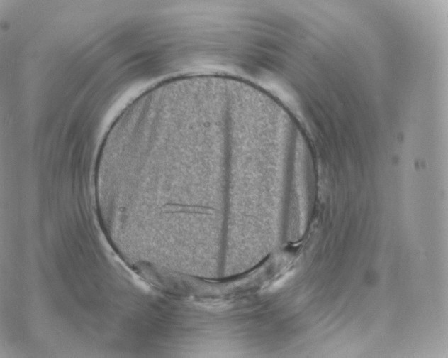 X0000070421191200606302053