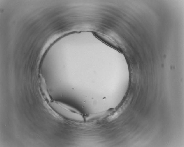 X0000070421192200606302053