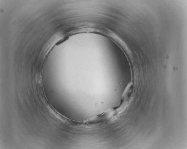 X0000070421193200606302053