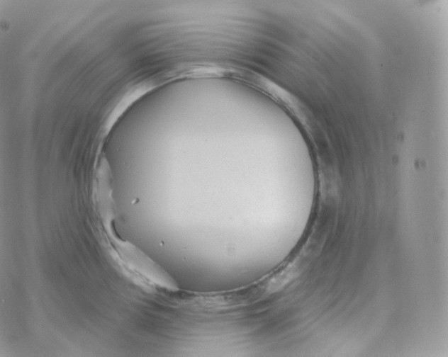 X0000070421194200606302053