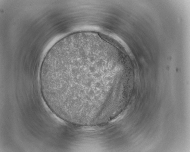 X0000070421199200606302053