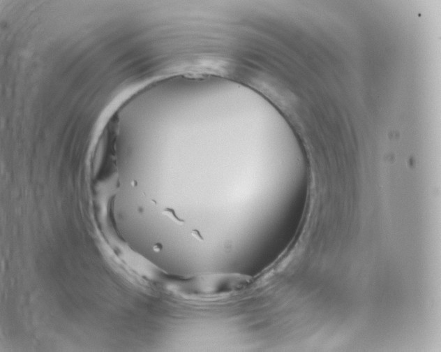 X0000070421200200606302053