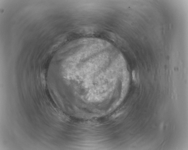 X0000070421203200606302052