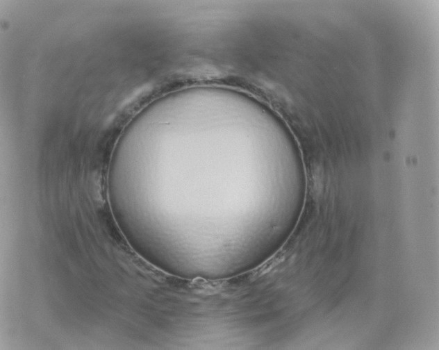 X0000070421205200606302052