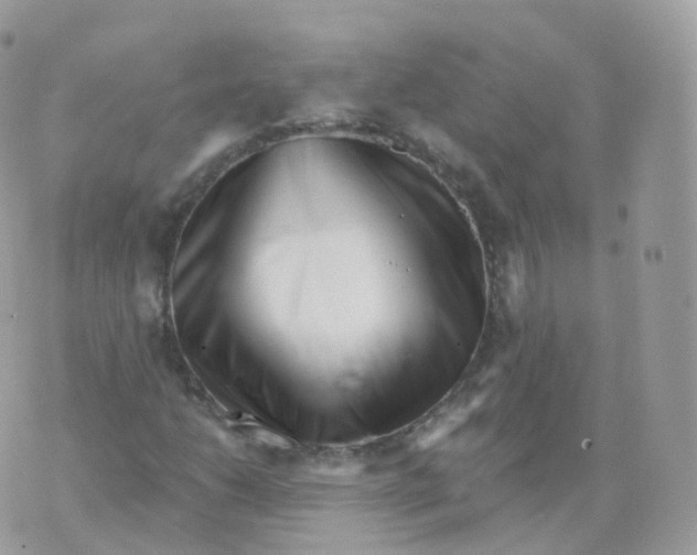 X0000070421206200606302052