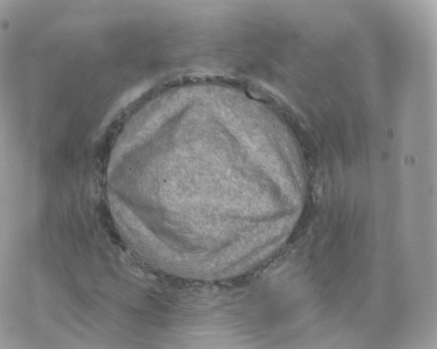 X0000070421207200606302053