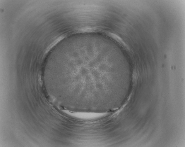 X0000070421209200606302053