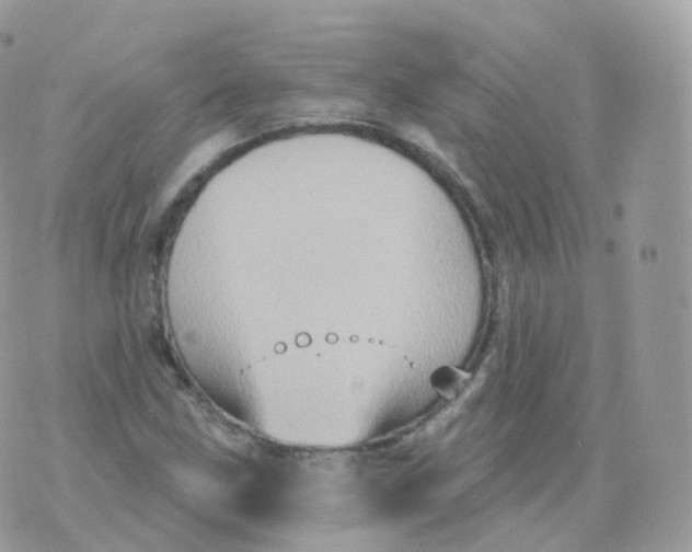 X0000070421211200606302053