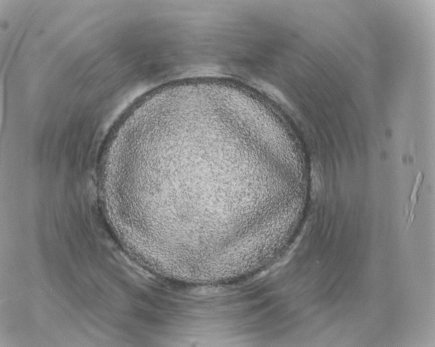 X0000070421212200606302053