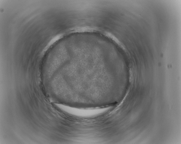 X0000070421213200606302053