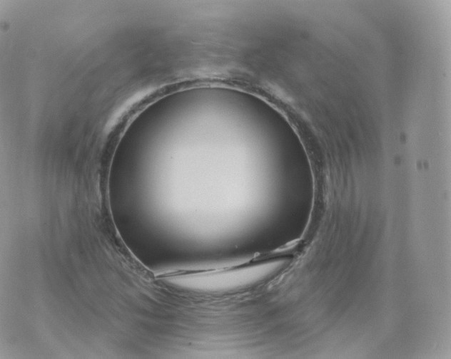 X0000070421214200606302053