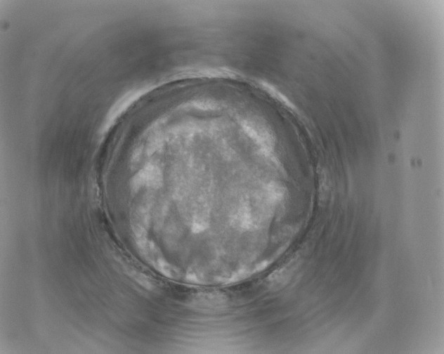 X0000070421215200606302053