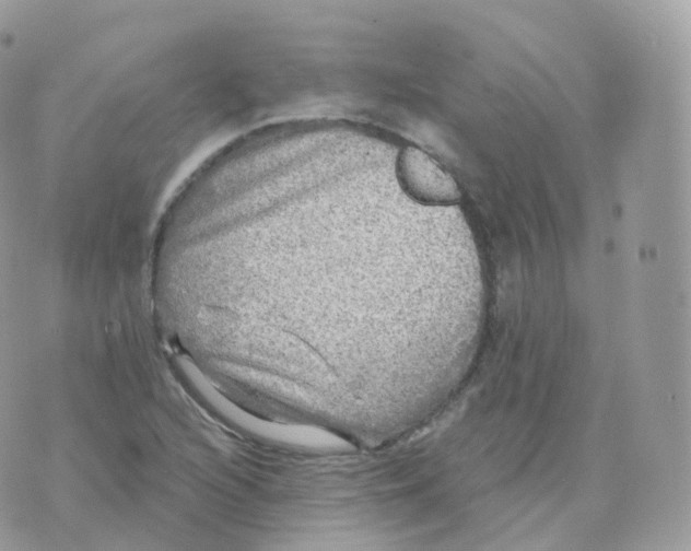 X0000070421216200606302053