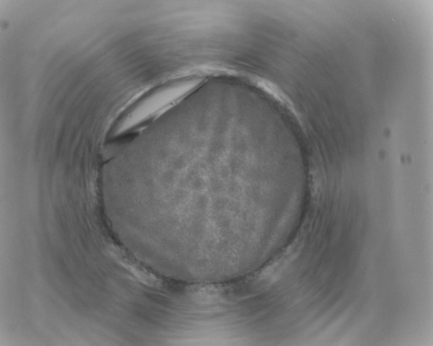 X0000070421217200606302053