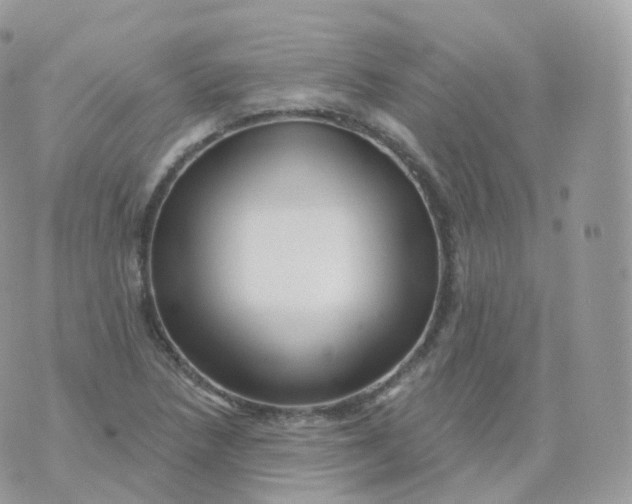 X0000070421218200606302053