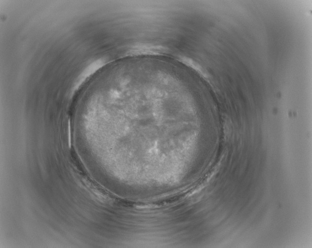 X0000070421219200606302053