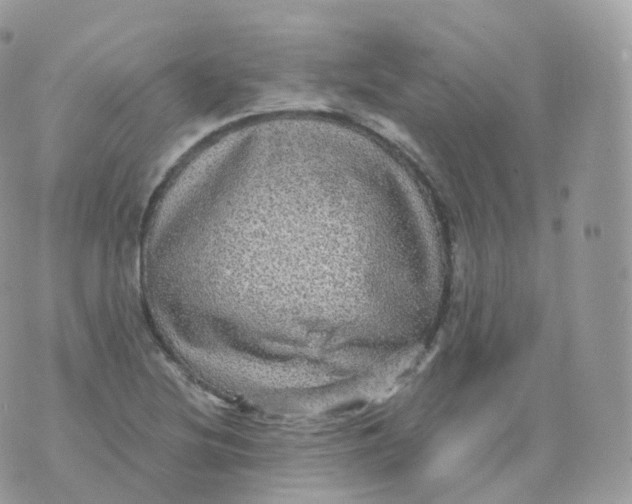 X0000070421220200606302053