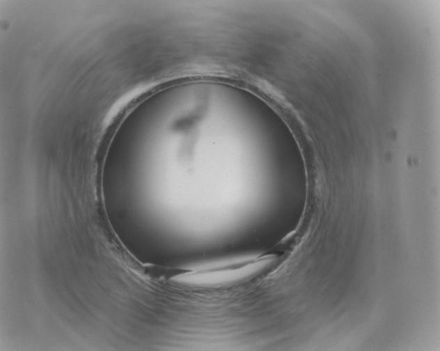 X0000070421222200606302053