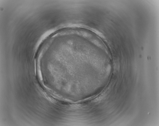 X0000070421223200606302053