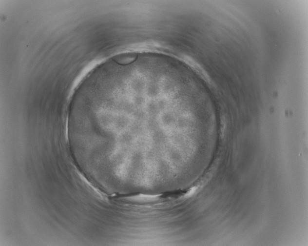 X0000070421224200606302053