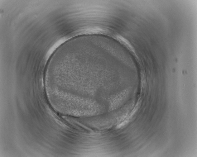 X0000070421226200606302053