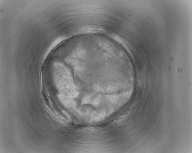 X0000070421227200606302053