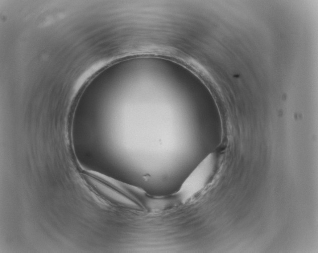 X0000070421230200606302053