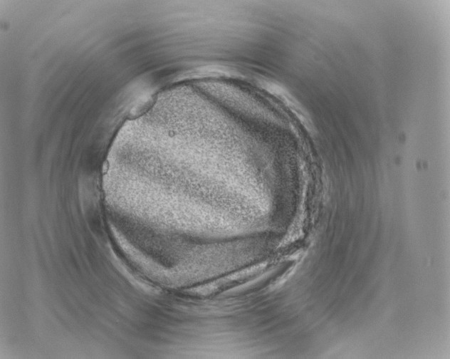 X0000070421233200606302053