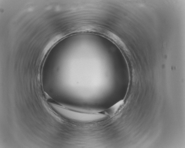 X0000070421234200606302053