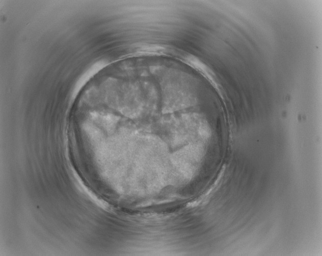 X0000070421235200606302053