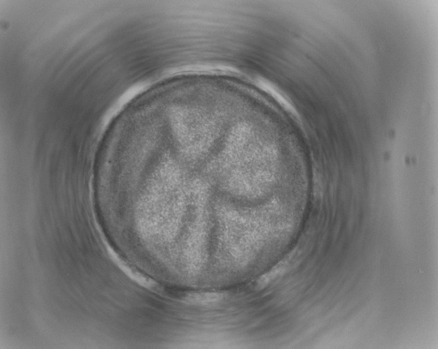 X0000070421237200606302053