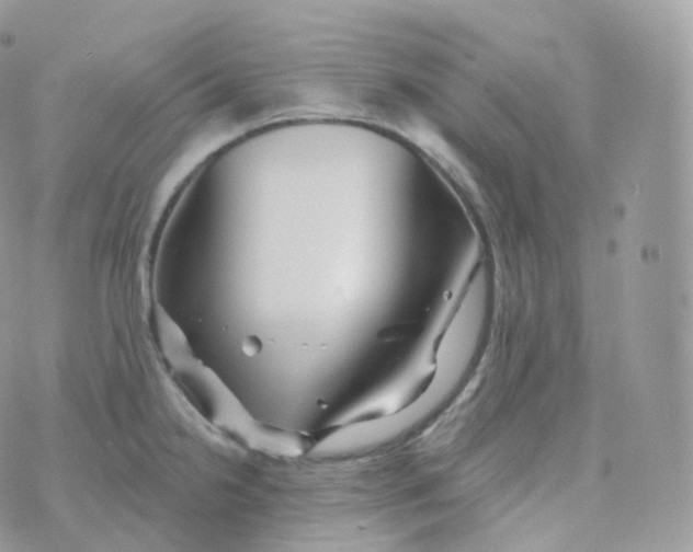 X0000070421238200606302053