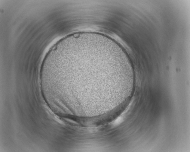 X0000070421240200606302053