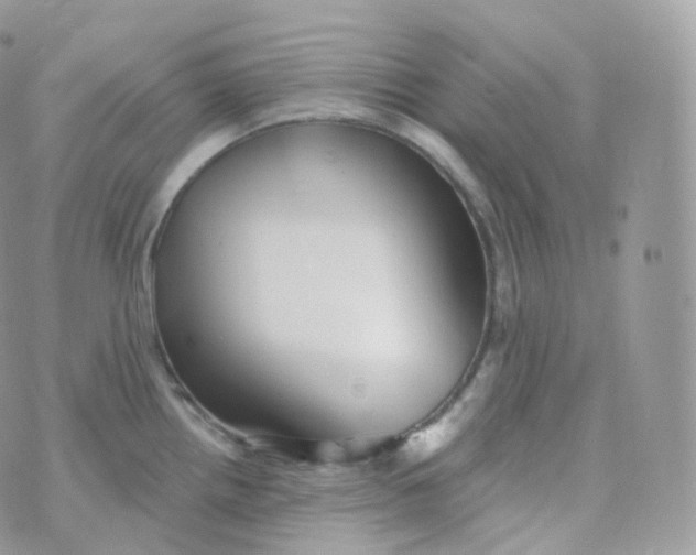 X0000070421242200606302053